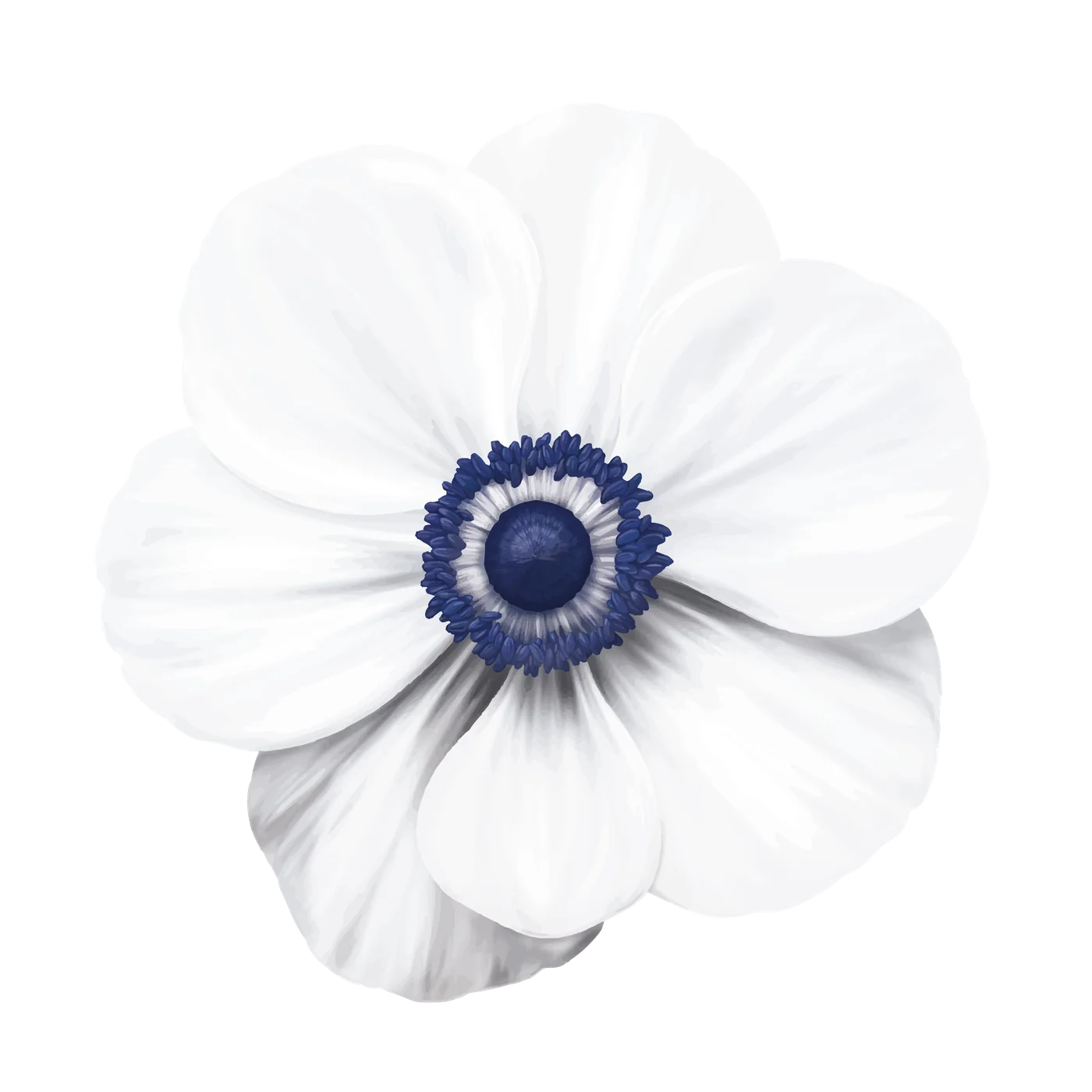 VALKYN anemone